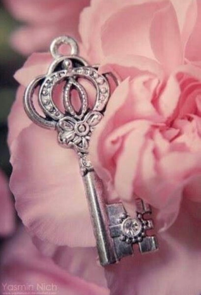 Красивый ключик