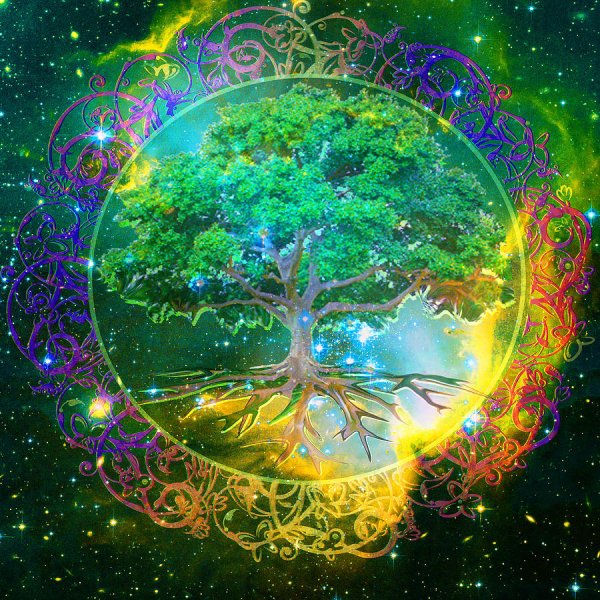 Дерево рода