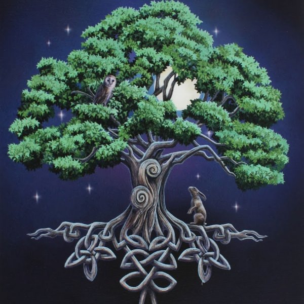 Дерево для древа жизни