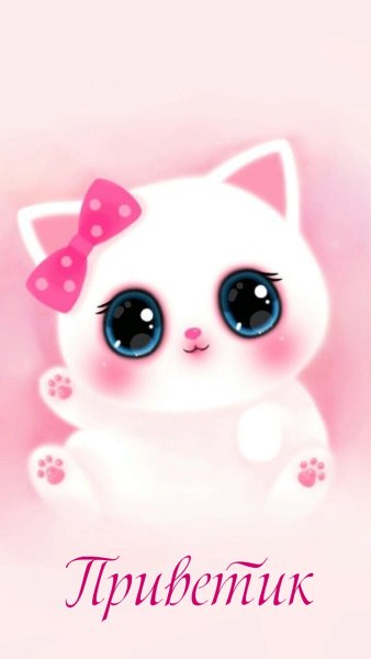 Милые котики на розовом фоне