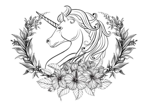 Морда лошади рисунок