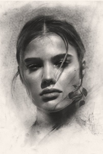 Рисунки углем любовь