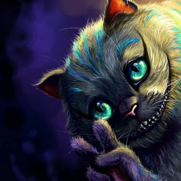 Чеширский кот котенок