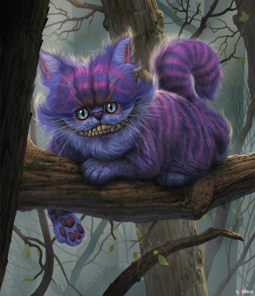 Чеширский кот