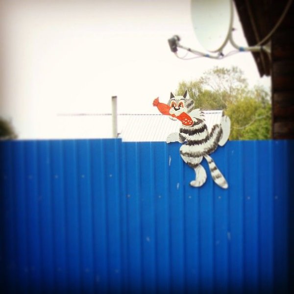 Забор рисунок