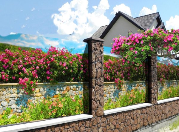 Фотосетка для декора заборов