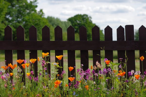 Красивый деревенский забор