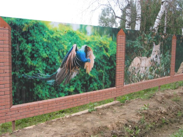 Забор рисунок