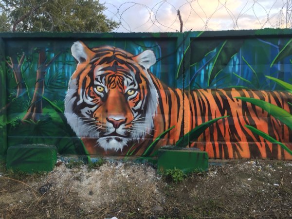 Аэрография на заборе из профнастила