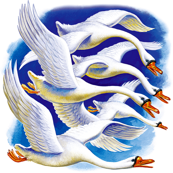 Лебеди из сказки гуси лебеди