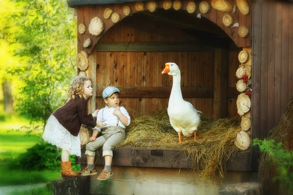 Детская фотосессия с гусем