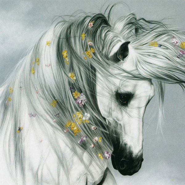 Lesley Harrison художник