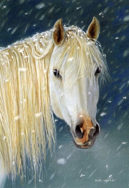 Белогривая лошадка