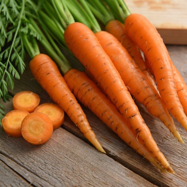 Морковь посевная Dáucus carota
