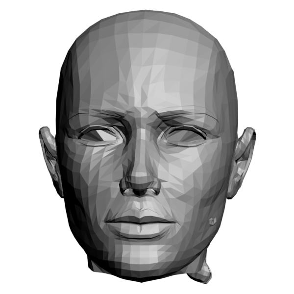 Макет головы человека