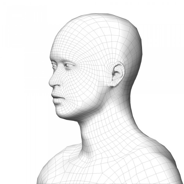 Голова человека