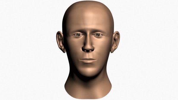 Голова человека 3д модель