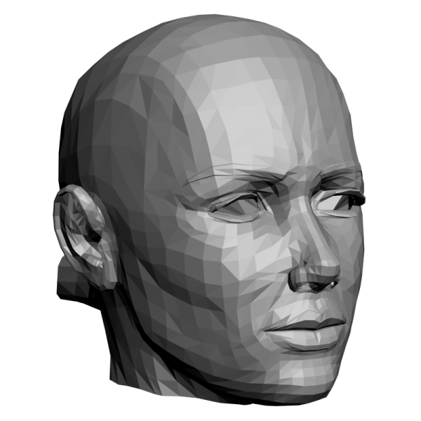 Картина голова