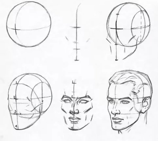 Голова человека для художников