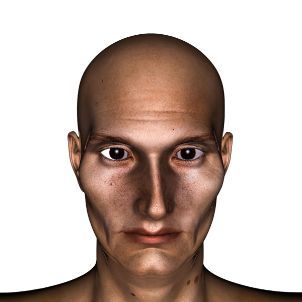 Мозг в голове