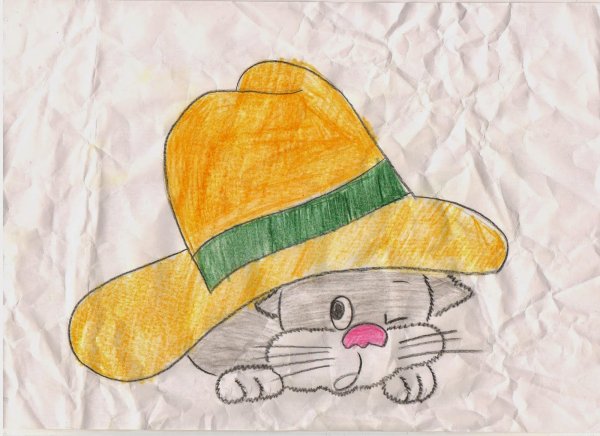 Рисунок к живой шляпе Носова