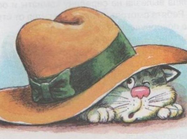 Живая шляпа красивый рисунок