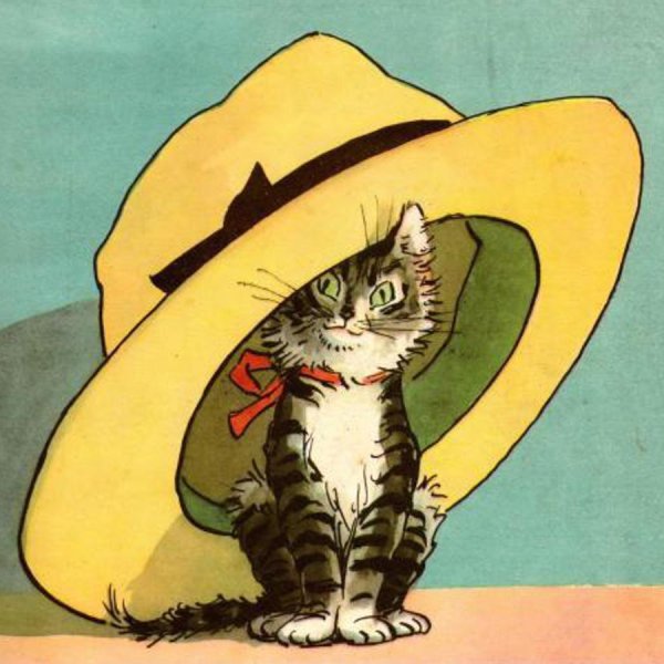 Носов Живая шляпа рисунок для читательского дневника