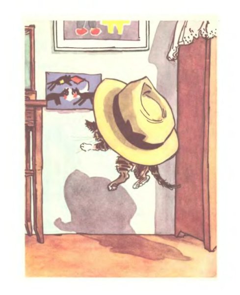 Живая шляпа Носова