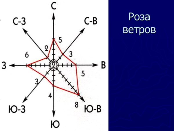 Роза ветров Москва