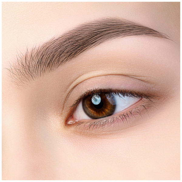 Красивые брови