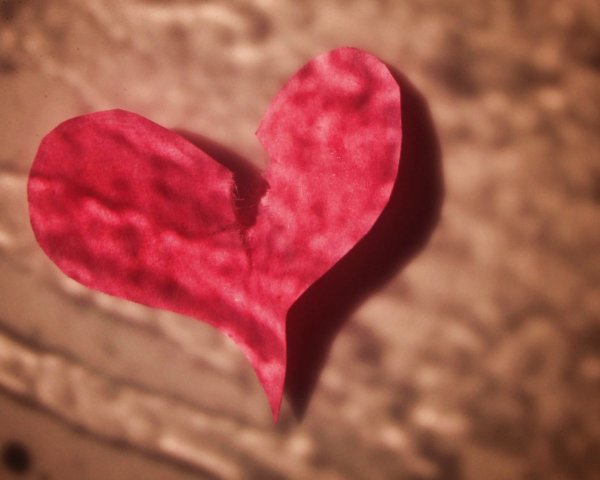 Сердце любовь