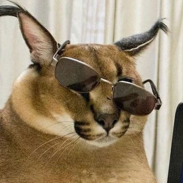 Шлепа в очках