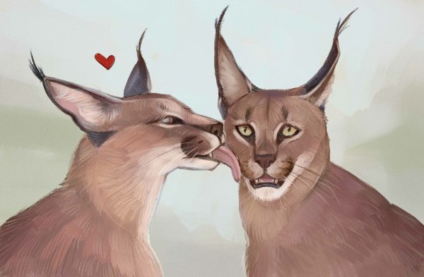 Каракал арт