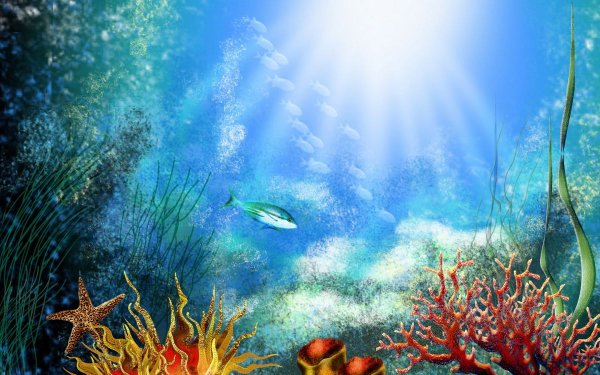 Морские подводные пейзажи