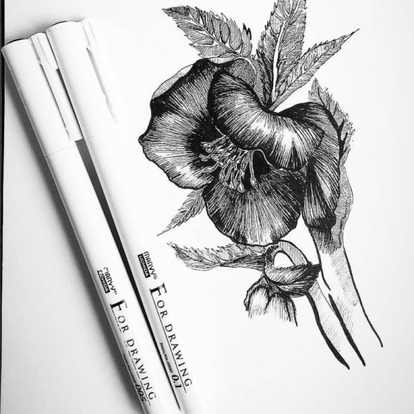 Линеры для рисования