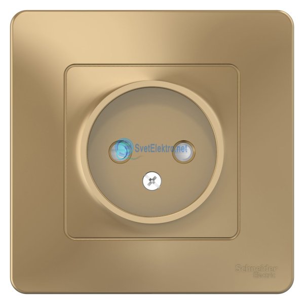 Розетка Schneider Electric Blanca (blnrs441121)
