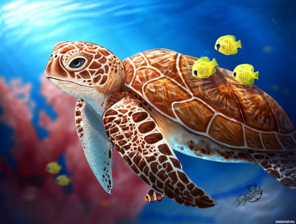 Морская черепаха и Черепашата