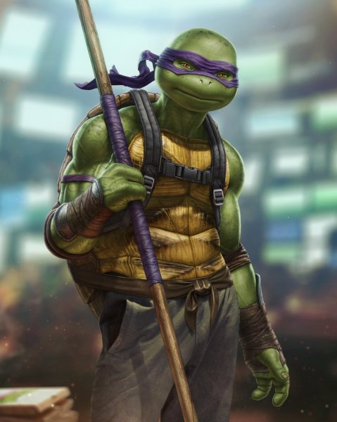 Рафаэль Микеланджело Донателло Леонардо Черепашки ниндзя 2014