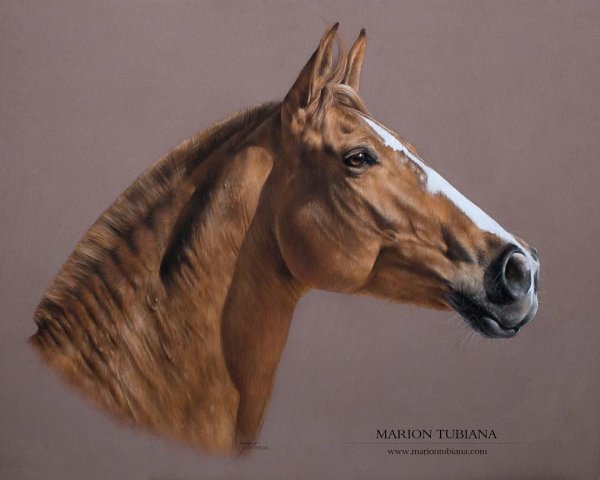Художник Marion Tubiana