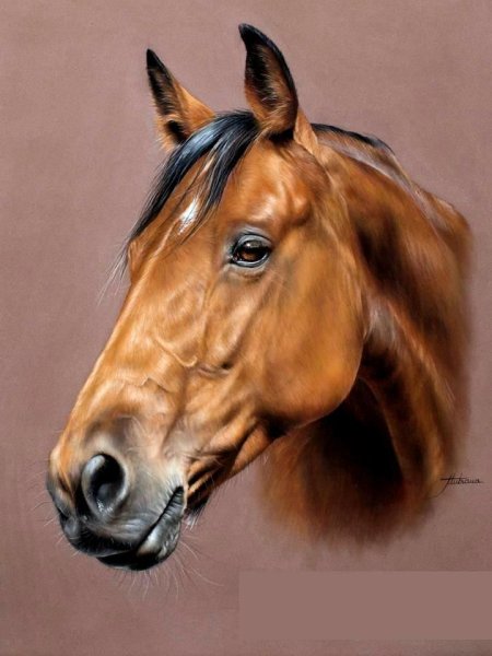 Художник Marion Tubiana