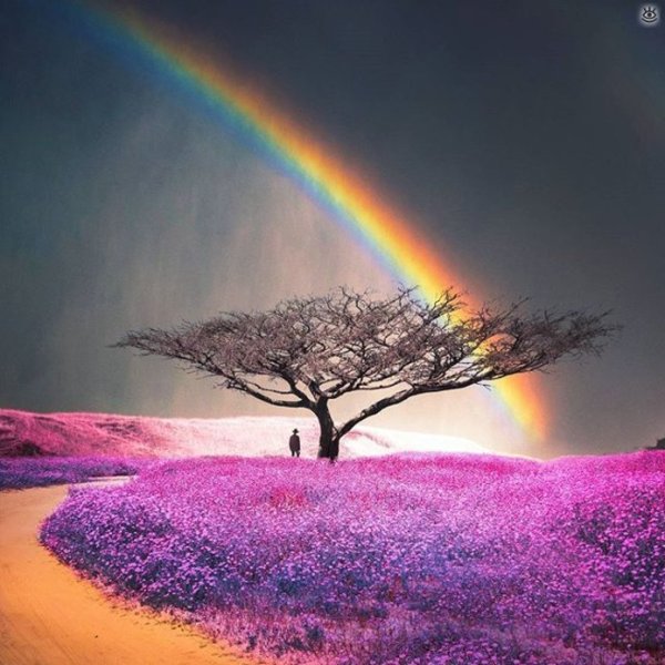 Необычная природа