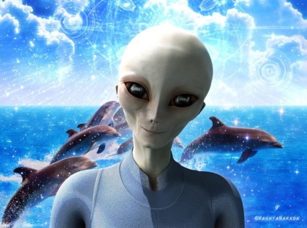 Пришельцы инопланетяне гуманоиды