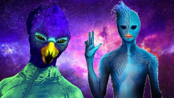 Пангири инопланетянка