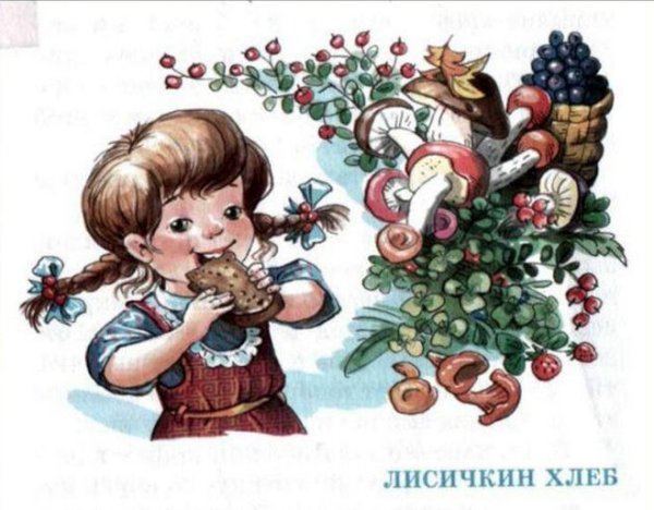 Лисичкин хлеб рисунок карандашом