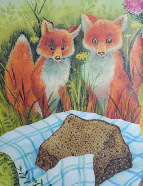 Иллюстрация к рассказу Пришвина Лисичкин хлеб