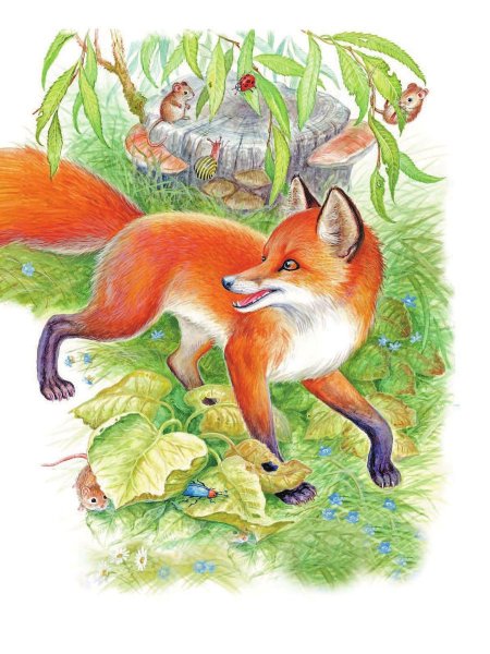 Картинки Лисичкин хлеб для срисовки