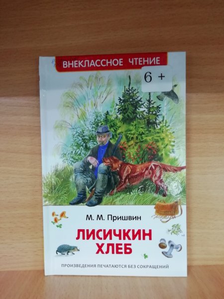 Лисичкин хлеб рисунки детей