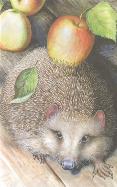 Пришвин Михаил Михайлович Лисичкин хлеб