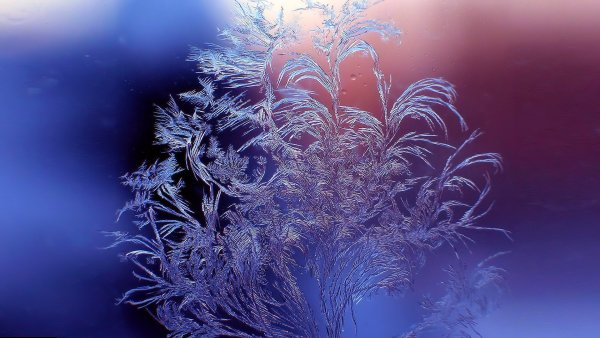 Зимние узоры