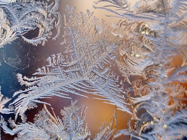 Зимние узоры